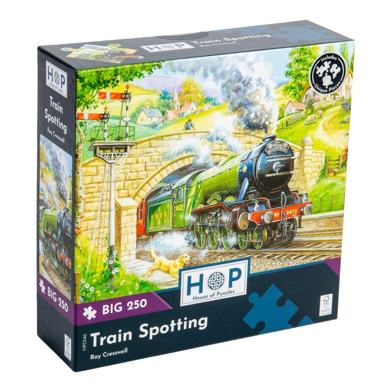 Image of The House Of Puzzles, Train Spotting, Big 250 Piece Jigsaw Puzzle, Multi HP0146