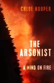 Image of The Arsonist
