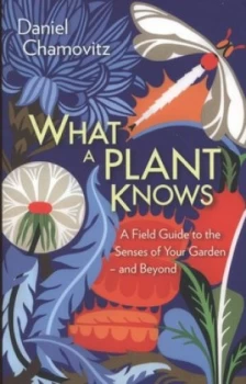 Image of What a Plant Knows by Daniel Chamovitz Paperback