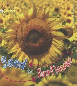 Image of Seed to Sunflower by Camilla De La Bdoyre Paperback
