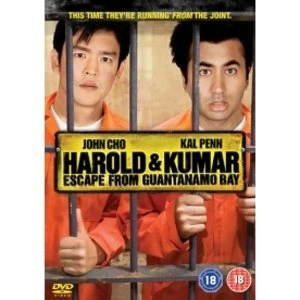 image of Harold and Kumar Escape from Guantanamo Bay DVD