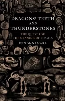 Image of Dragons' Teeth and Thunderstones : The Quest for the Meaning of Fossils