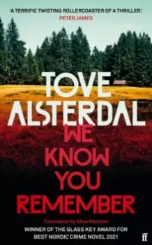 Image of We Know You Remember : The No. 1 International Bestseller