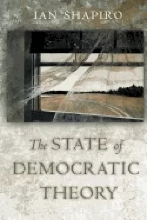 Image of state of democratic theory