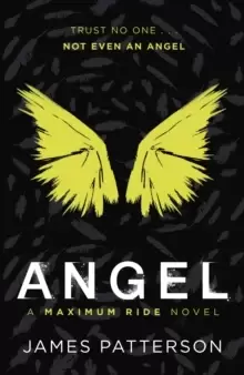 image of Angel: A Maximum Ride Novel : (Maximum Ride 7)