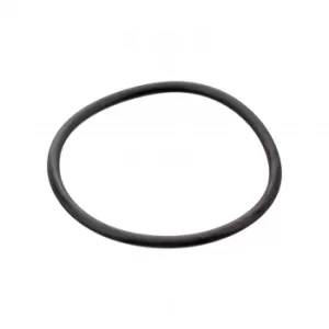 Image of Gasket Thermostat O-Ring 17964 by Febi Bilstein