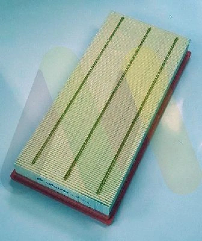 Image of MOTAQUIP Air filter MOTAQUIP LVFA1555