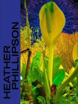 Image of Heather Phillipson - Leila Hasham - Hardback - Used