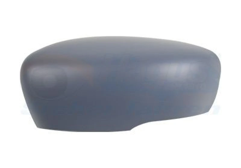 Image of VAN WEZEL Wing mirror cover VAN WEZEL 4420843