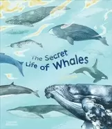 Image of secret life of whales