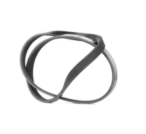 Image of Bosch V-ribbed belt BMW,FIAT 1 987 946 127 11286550645,11287795144,64557795144 6550645,7795144,46811241,71719034