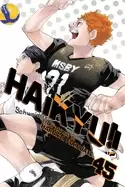 Image of haikyu vol 45