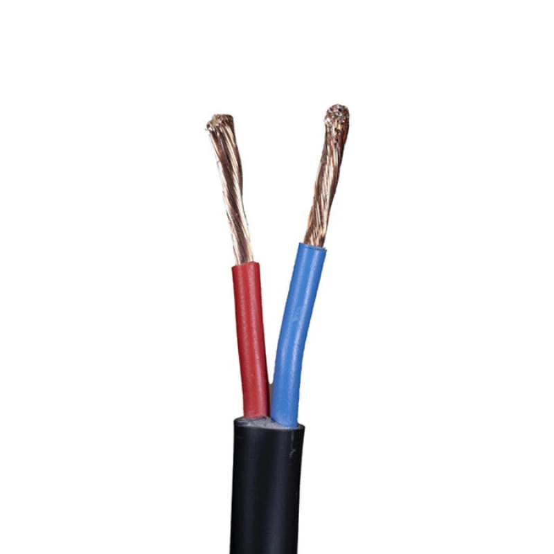 Image of Cablenet Cablenet 2 Core 2.5mm Professional Grade LSOH CPR Eca Speaker Cable Black 100m CABSP2X2.5-LS