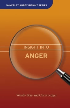 Image of Insight into Anger by Wendy Bray Hardback
