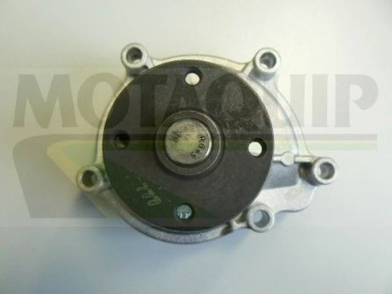 Image of MOTAQUIP Water pump MOTAQUIP VWP853