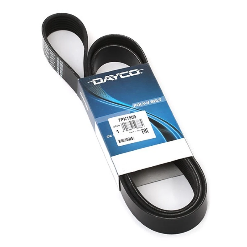 Image of DAYCO 7PK1969 V-ribbed belt V-Ribbed Belts (305)