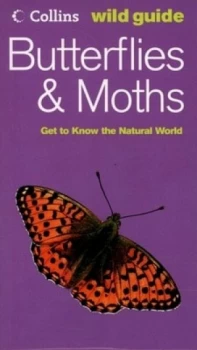 Image of Butterflies and Moths by John Still Paperback
