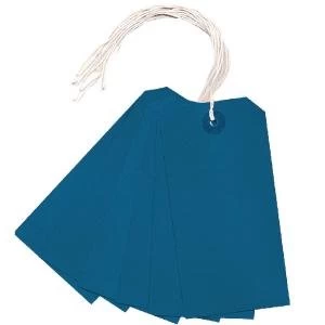 Image of Strung Tag 120x60mm Blue Pack of 1000 KF01625