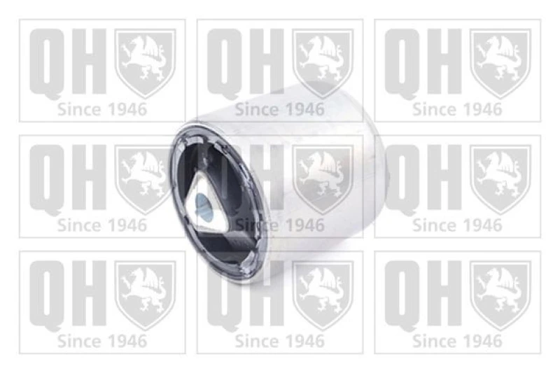 Image of QUINTON HAZELL Trailing arm / Suspension arm bush QUINTON HAZELL EMS8486