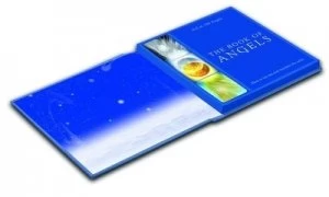 Image of Gold and Silver Guardian Angels by Angela Mcgerr Paperback