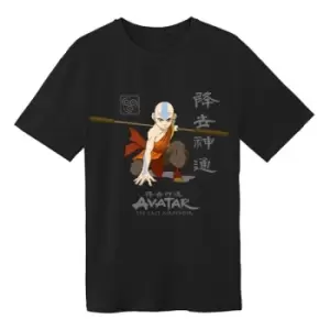 Image of Avatar: The Last Airbender T-Shirt Aang in Knee Bend Pose Size L
