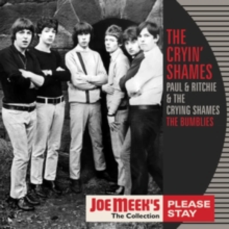 Image of Please Stay Vinyl