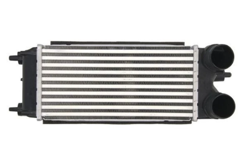 Image of THERMOTEC Intercooler THERMOTEC DAG018TT