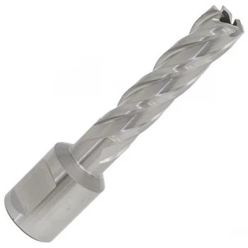 Image of Worksafe RBHSS12L Rotabor Cutter HSS Ø12mm - Cut Depth 50mm