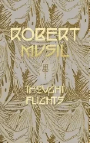 Image of thought flights