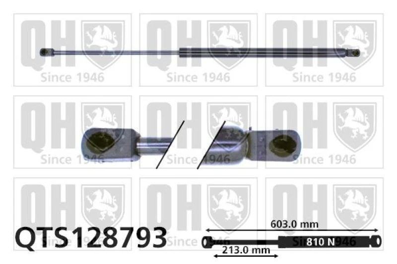 Image of QUINTON HAZELL Tailgate strut QUINTON HAZELL QTS128793
