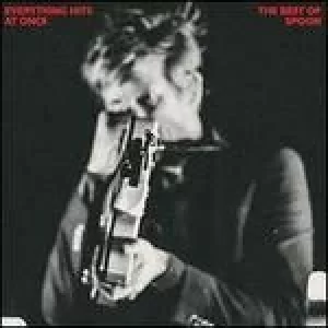Image of everything hits at once the best of spoon
