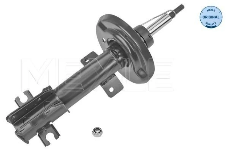 Image of Shock absorber MEYLE 226 623 0019