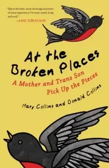 Image of At the Broken Places : A Mother and Trans Son Pick Up the Pieces