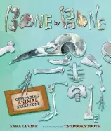 Image of bone by bone comparing animal skeletons