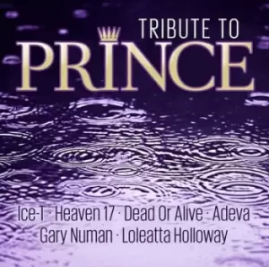 Image of Tribute to Prince by Various Artists CD Album