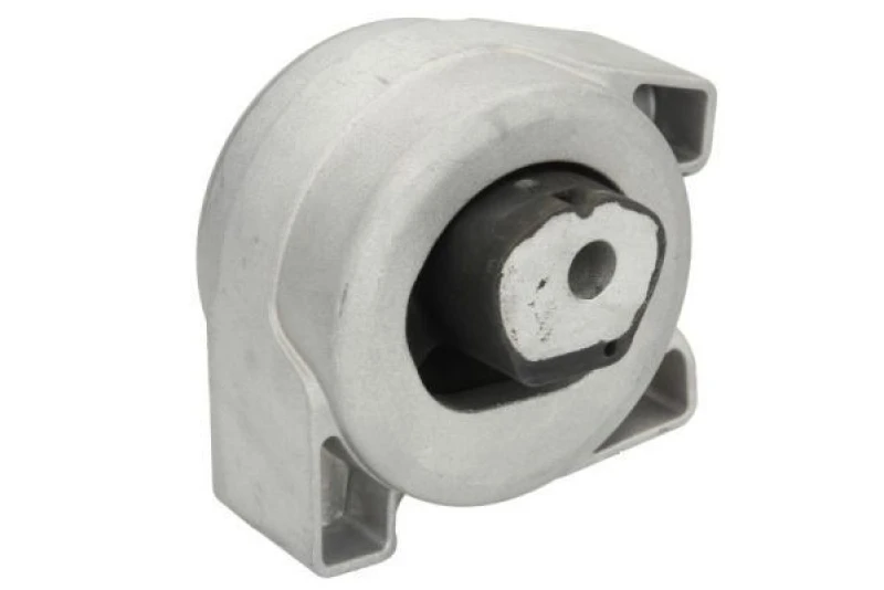 Image of REINHOCH Mounting, manual transmission REINHOCH RH11-3029
