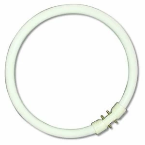Image of Bell 22W CFL T5 2GX13 Tube Circular Bulb - White