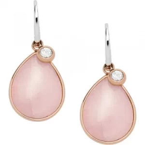 Image of Iconic Earrings