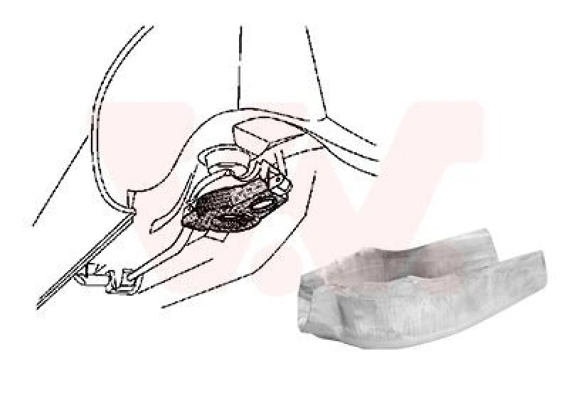 Image of VAN WEZEL Mudguard VAN WEZEL 3755499