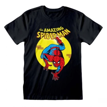 Image of Marvel Comics Spider - Amazing Spider-Man Unisex Large T-Shirt - Black