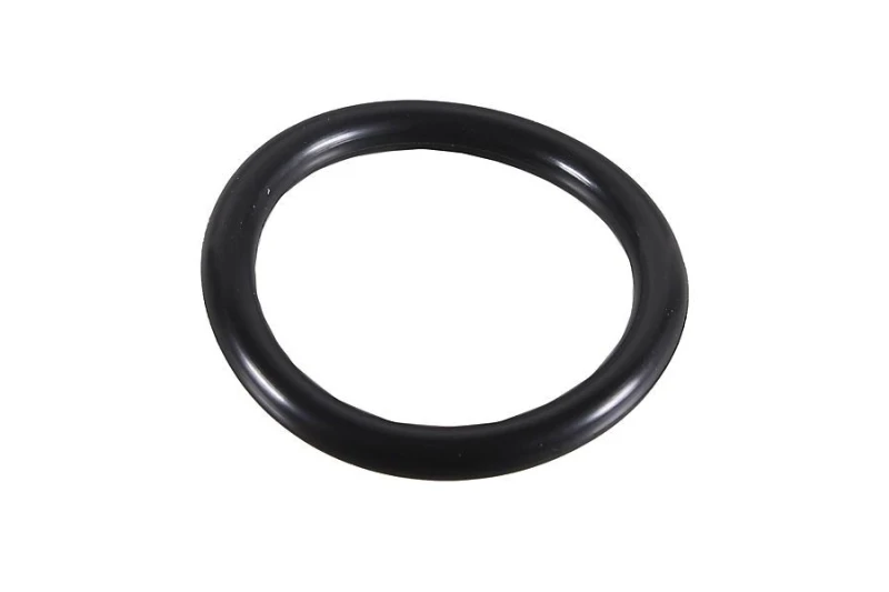 Image of Seal Ring METZGER 2430108