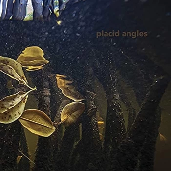 Image of Placid Angles - Touch The Earth Vinyl