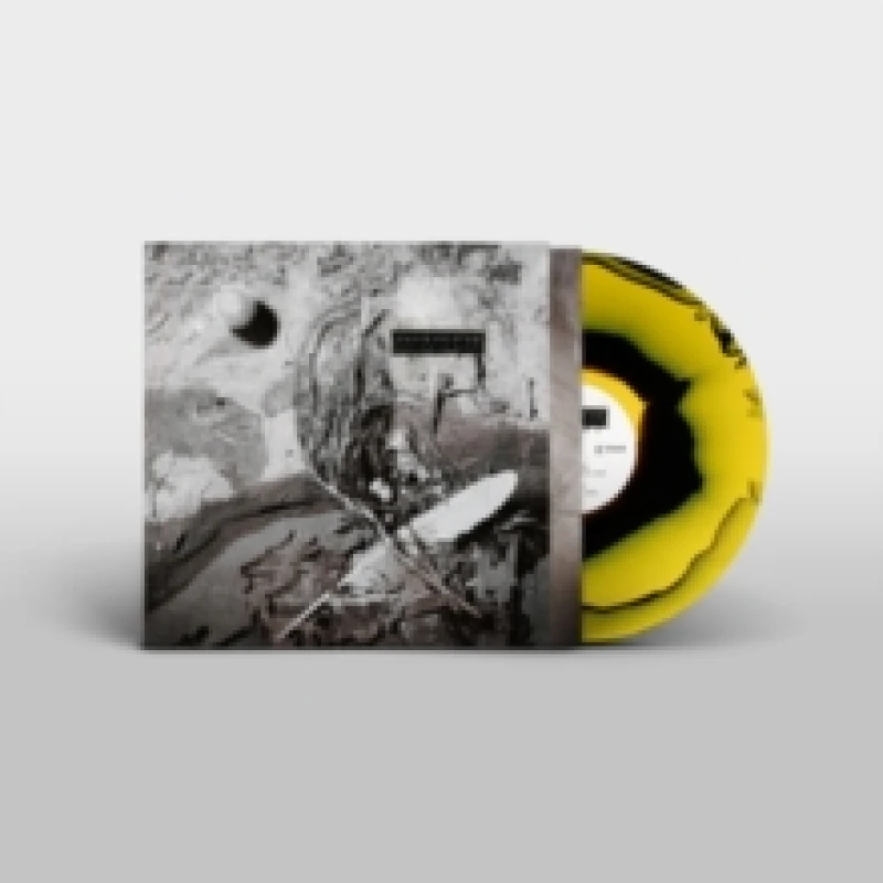 Image of Secrets of the Beehive Vinyl