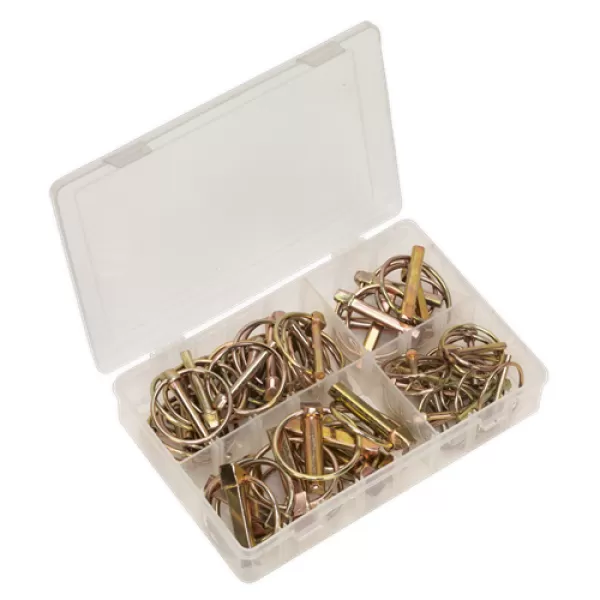 Image of Sealey AB022LP Linch Pin 50pc Metric