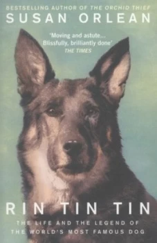 Image of Rin Tin Tin by Susan Orlean Book