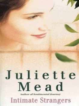 Image of Intimate Strangers by Juliette Mead Paperback
