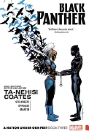 Image of black panther a nation under our feet book 3