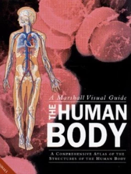 Image of The Human Body Hardback