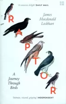Image of Raptor - James Macdonald Lockhart - Paperback - Used