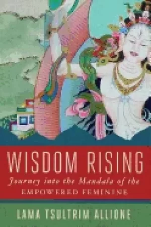 Image of wisdom rising journey into the mandala of the empowered feminine